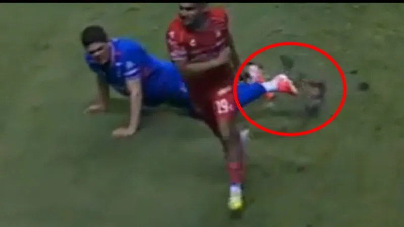 El campo sigue en malas condiciones