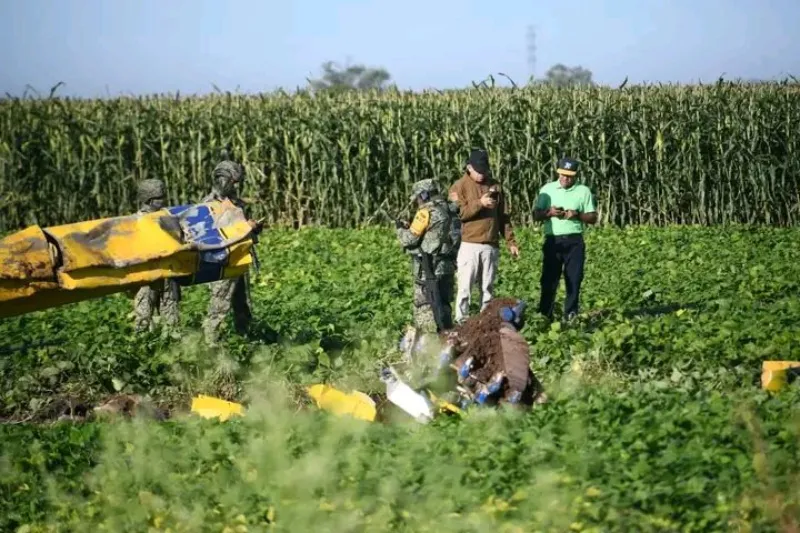 La avioneta Cessna se encontraba fumigando unos campos de cultivo / X: @ContactoRevist