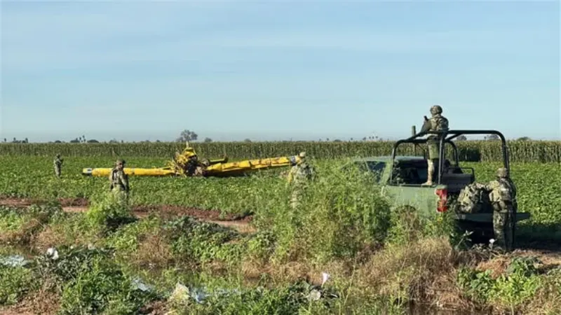 Los campesinos sacaron al piloto para poder auxiliarlo / X: @luznoticiasmx ·