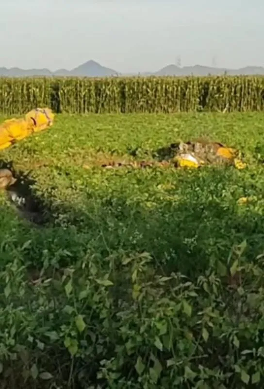Por fortuna no se perdieron vidas tras el desplome de la avioneta / Especial