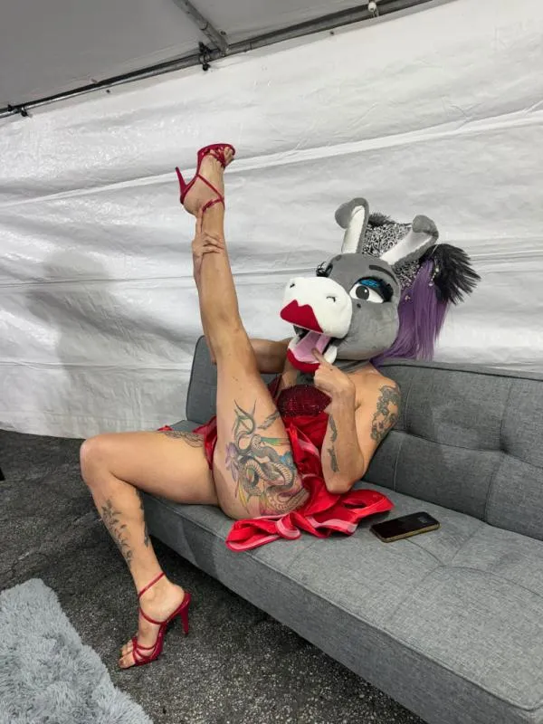 El fin de la Burrita Burrrona fue anunciado el pasado fin de semana / FB: @momoguzmann