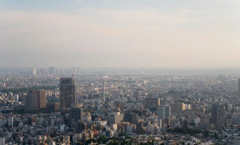 Siguen sin circular Holograma 00 y 0 con engomado azul y placa terminación 9 y 0 / FREEPIK