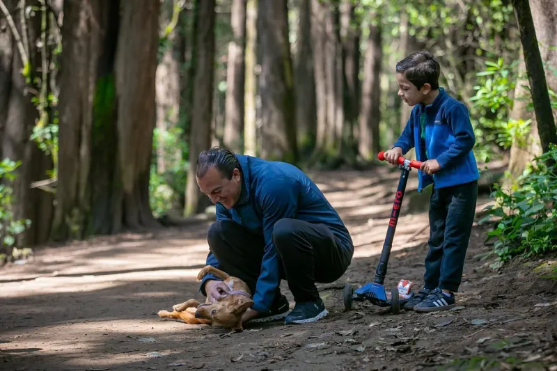 Cuajimalpa apuesta por el bienestar animal y cuidado del medio ambiente / Especial