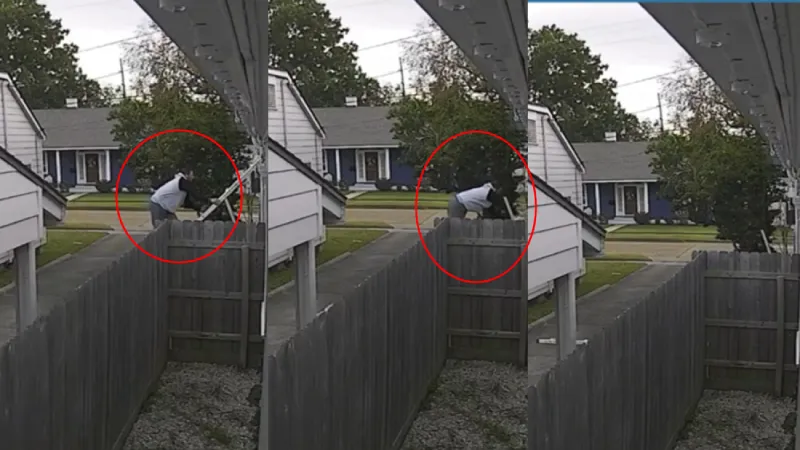 Ahora lo ves... la escalera falseó cayendo de lleno al suelo / FB: @haashoficial