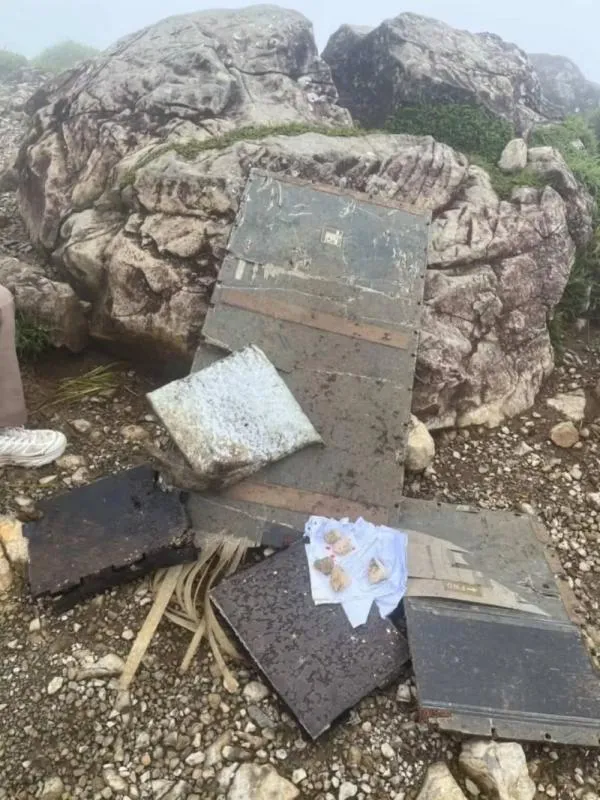 En el avión iban varios tripulantes y gente del gobierno de Indonesia / Redes Sociales