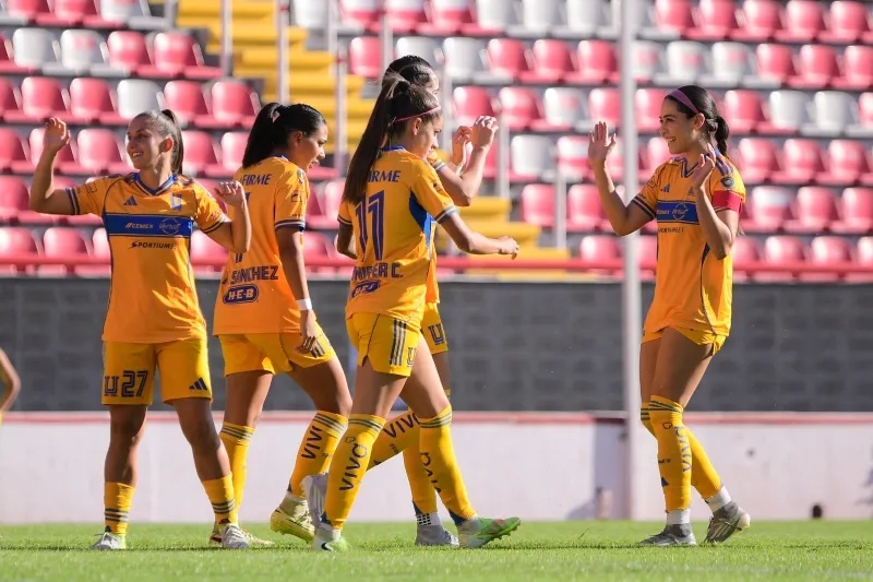 Tigres volverá a escena luego de descansar en la Jornada 2