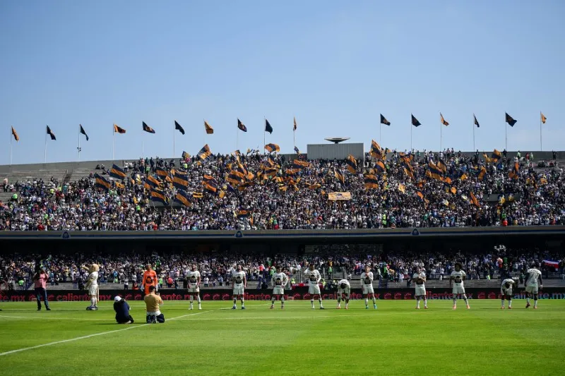 Afición de Pumas | IMAGO7