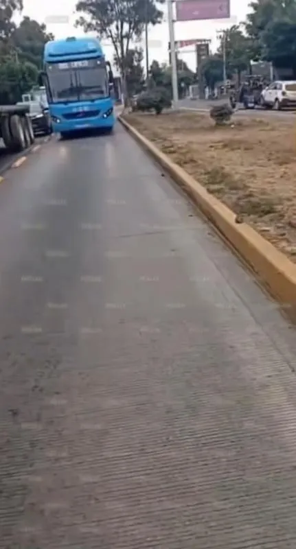 La joven provocó que el Mexibús no avanzara por unos minutos / Redes Sociales