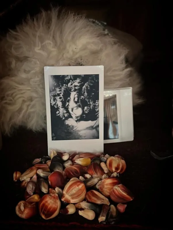 Natalia Lafourcade mostró su proceso de gestación en redes / IG: @natalialafourcade