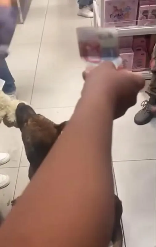 La gente se cooperó para comprar el peluche para el lomito / Captura de pantalla: @Tapachulahoy