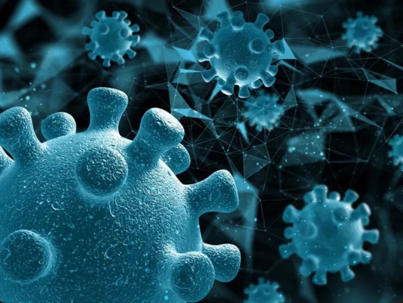 La OMS lanza una alerta para evitar que el virus se expanda / FREEPIK