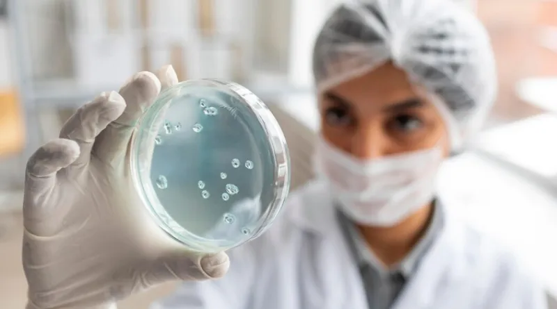 Gripe, fiebre y dolores musculares, los principales síntomas del virus Nipah / FREEPIK