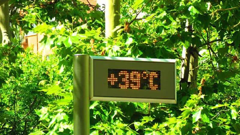 La combinación de calor extremo y variabilidad climática es uno de los principales retos asociados al cambio climático global./ Pixabay