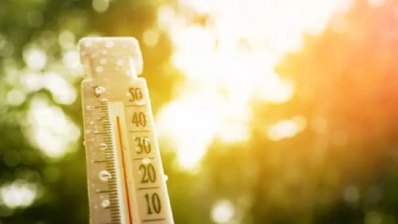 En México, el inicio de 2026 estará marcado por contrastes climáticos, con calor diurno y descensos de temperatura por frentes fríos./ Pixabay