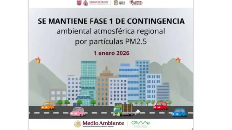 Las autoridades recomiendan verificar las restricciones para evitar multas y el traslado del vehículo al corralón./ X