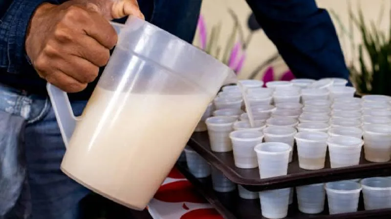 Pulque natural, curados y mezcales artesanales serán parte de la oferta del evento./ Pixabay