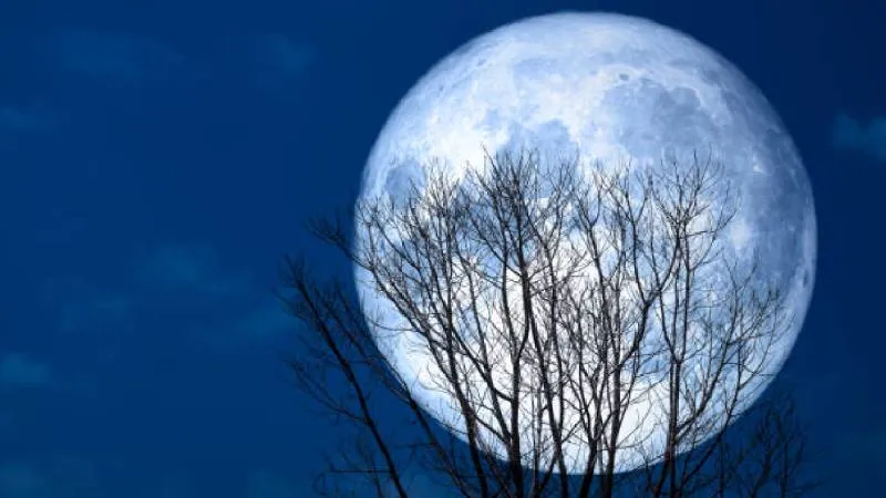 La Luna de Nieve 2026 podrá observarse en México la noche del 1 de febrero, cuando el satélite natural alcance su fase de luna llena./ Pixabay