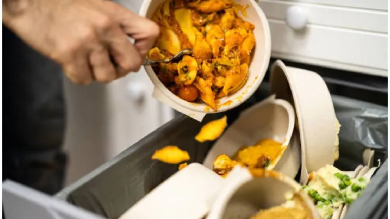 A partir del 1 de enero de 2026, la CDMX aplicará un nuevo esquema obligatorio para separar la basura./ Pixabay