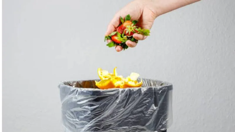 El cambio busca mejorar el reciclaje y reducir el impacto ambiental en la Ciudad de México./ Pixabay