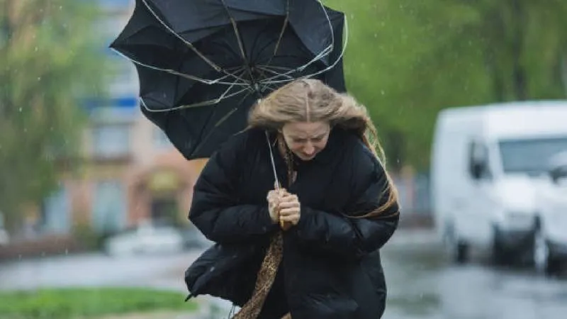 El descenso de temperatura se intensificará del 5 al 8 de enero, con ambiente frío y lluvias en el noroeste del país./ Pixabay