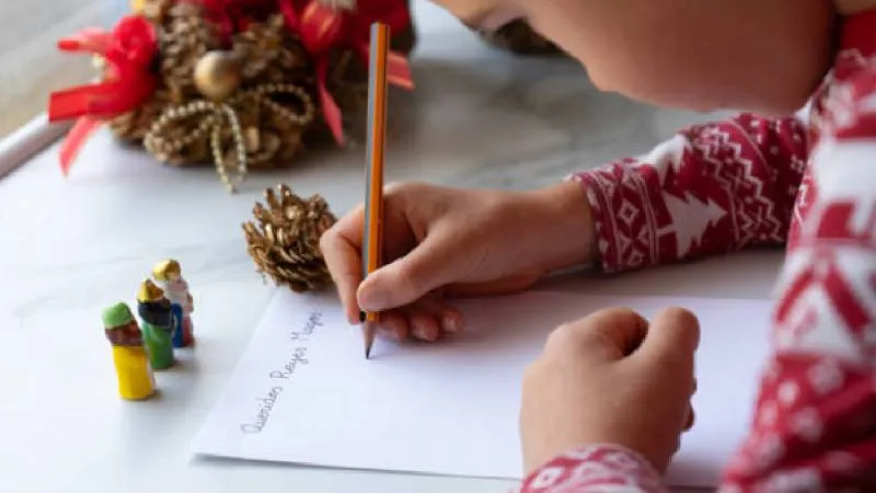 Comercios formales y pequeños negocios registran un incremento en ventas previo al 6 de enero./ Pixabay