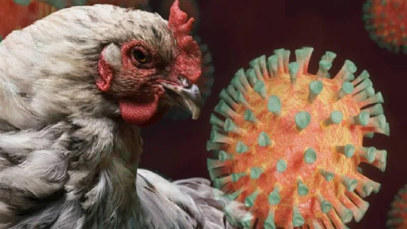 Autoridades de Salud confirmaron siete muertes y más de dos mil casos de influenza en el país./ Pixabay