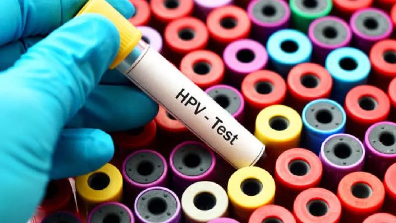 El desarrollo refuerza el papel de la UNAM en investigación científica aplicada a la salud pública./ Pixabay