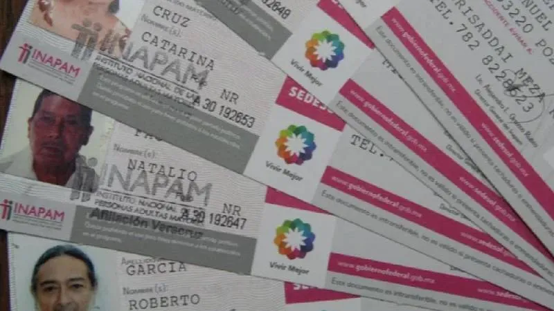 Autoridades advierten que no existe una plataforma oficial para tramitar la credencial INAPAM en línea./ RS