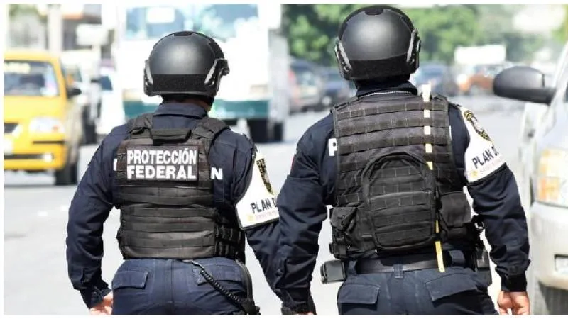 El Servicio de Protección Federal protege instalaciones estratégicas del Estado mexicano./ X