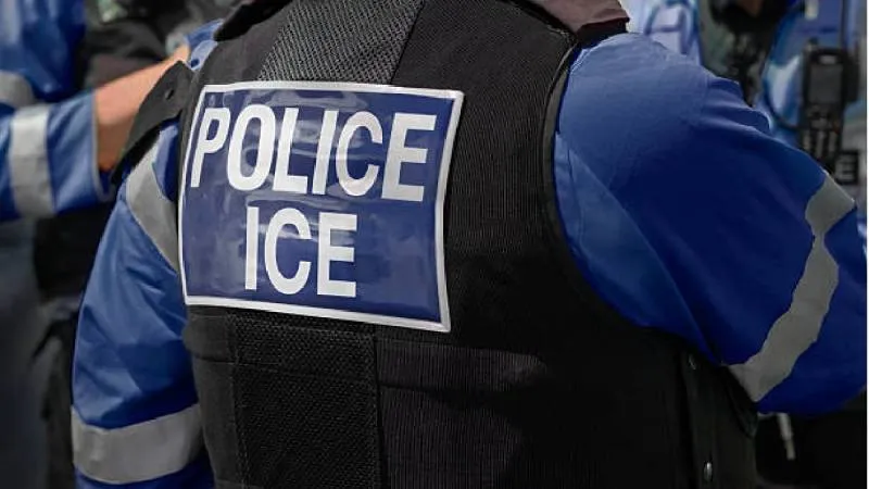 Las movilizaciones contra el ICE se intensificaron tras el segundo incidente mortal en menos de un mes en la ciudad./ Pixabay