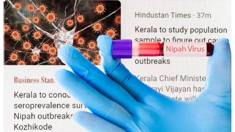 Cerca de 100 personas permanecen en cuarentena preventiva tras el rastreo de contactos por virus Nipah./ Pixabay