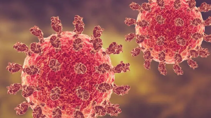 Personal de salud fue el principal afectado en el brote reciente del virus Nipah detectado en India./ Pixabay