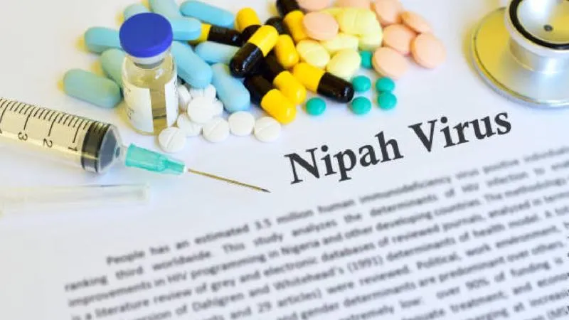 Autoridades sanitarias de India confirmaron cinco casos del virus Nipah en el estado de Bengala Occidental, cerca de Calcuta./ Pixabay