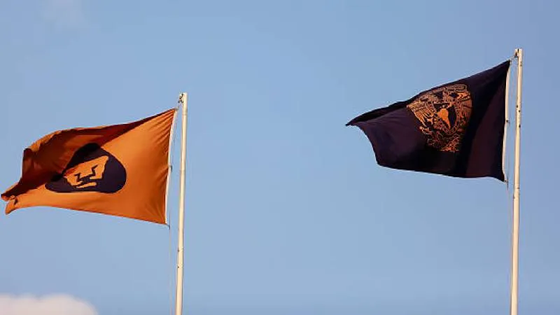 Humanidades, Artes y Ciencias Sociales destacan entre las áreas mejor evaluadas de la UNAM en rankings globales./ Pixabay