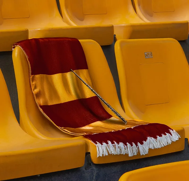 Guiño a Harry Potter | X: @TigresFemenil