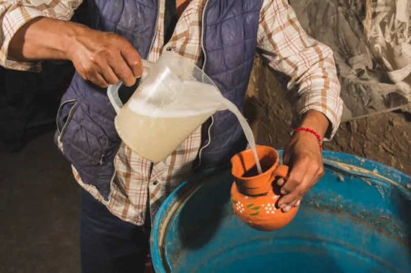 La declaratoria ya quedó establecida en la Gaceta Oficial de la CDMX. / iStock