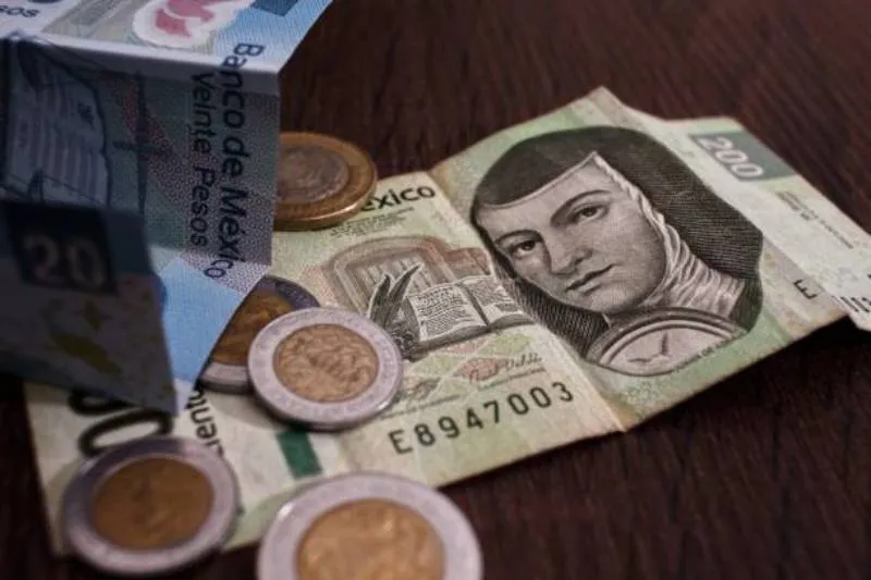 Autoridades federales recuerdan que la UMA se utiliza como referencia en diversos pagos obligatorios. / iStock