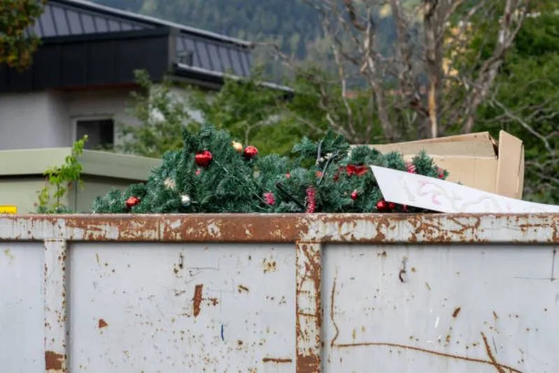 Estas condiciones aseguran que los árboles puedan ser reutilizados de forma sustentable y no terminen en la basura común o en la vía pública. / iStock