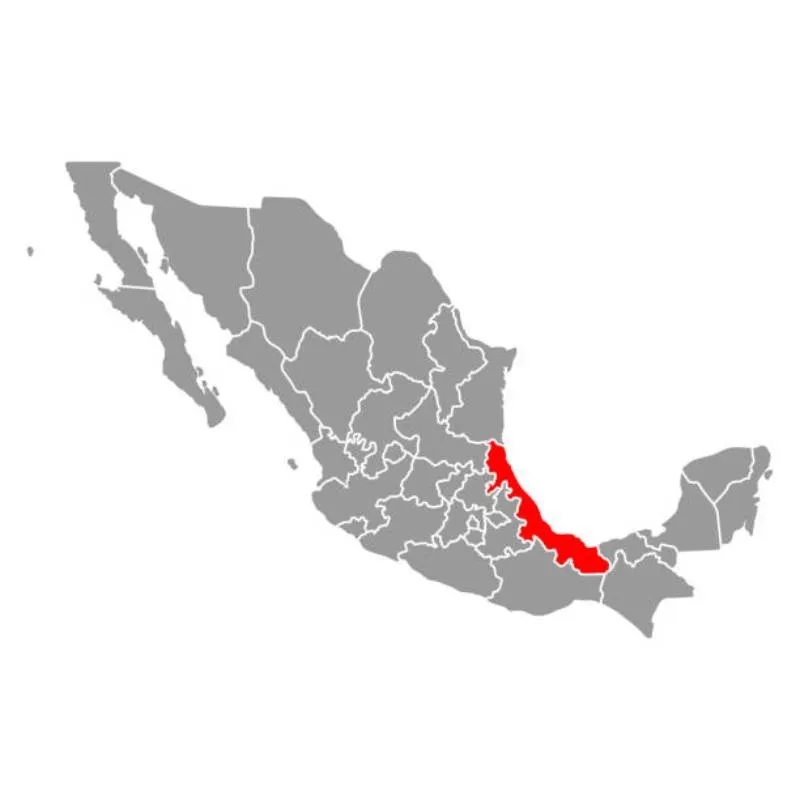 Veracruz, es considerado como una de los más peligrosos para ejercer el oficio periodístico. / iStock