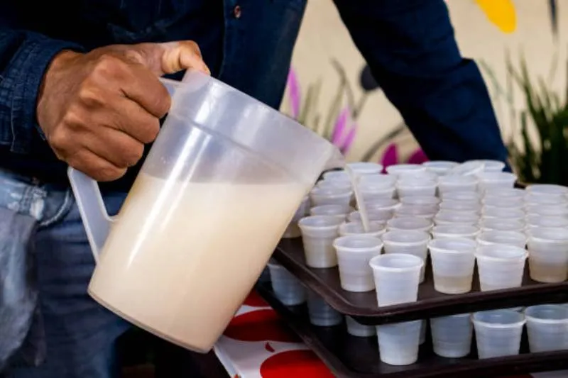 El pulque se elabora extrayendo el aguamiel del corazón de un maguey maduro. / iStock