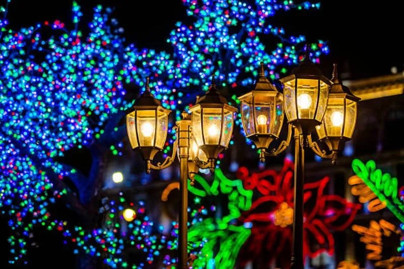 Una salida cultural para cerrar el año con conocimiento y entretenimiento. / iStock