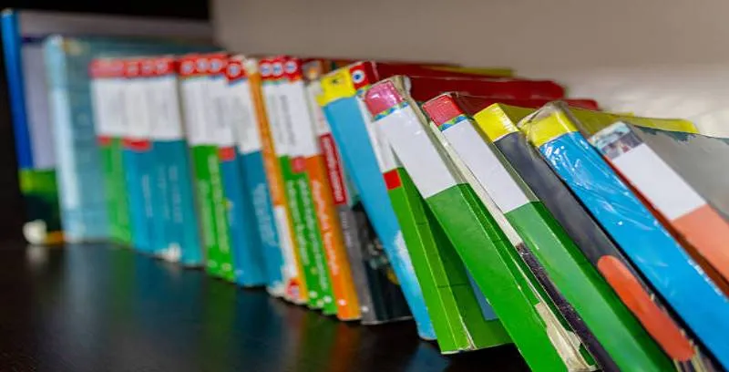 A partir de 2026, los alumnos de primaria y secundaria trabajarán con dos nuevos libros obligatorios. / iStock
