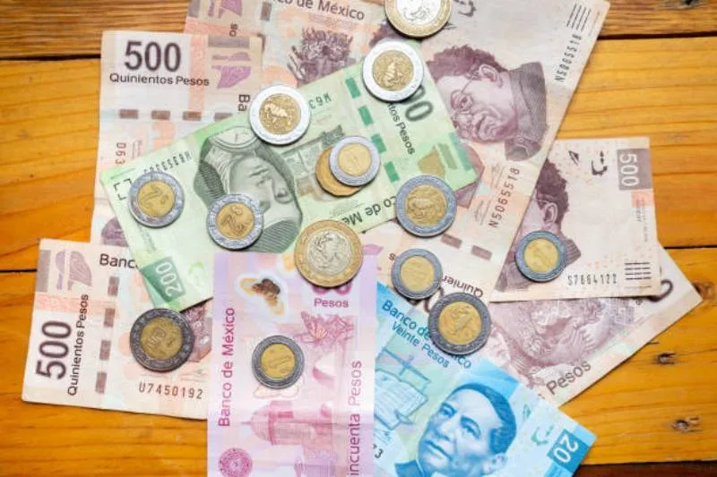 Aquellos que no respeten la nueva medida, podrán ser acreedores a una multa económica/Pixabay