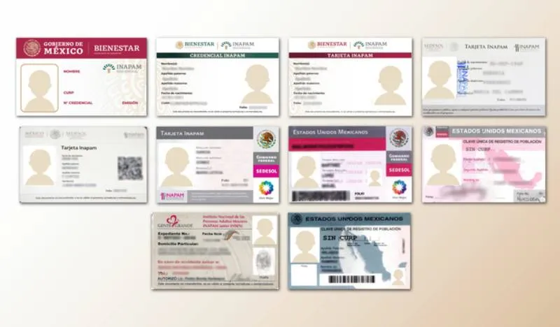 Los módulos del INAPAM realizan el trámite de forma gratuita y presencial. / Gob MX