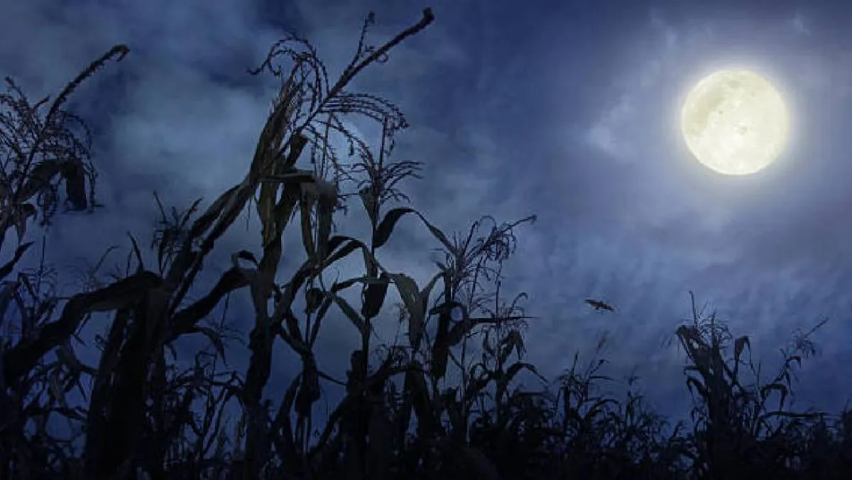 El cielo nocturno nos regala fenómenos astronómicos destacados/iStock