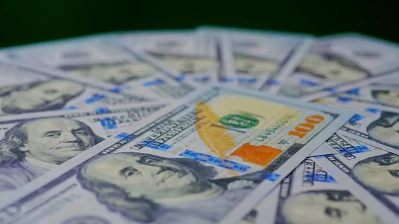 La cotización del dólar en ventanillas es variable, de acuerdo al banco seleccionado/Pixabay