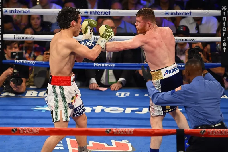 Julio César Chávez Jr y Canelo en combate