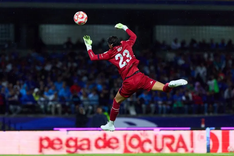 Minimizó la equivocación