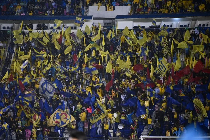 Agredieron a un aficionado