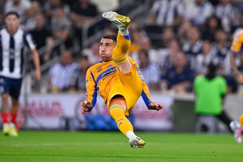 Capitán Felino | MEXSPORT